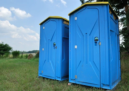 Two blue portable toilets with yellow roofs standing in a grassy field under a clear sky.